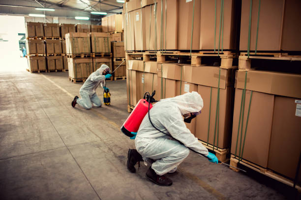Best Pest Removal Services  in Schererville, IN