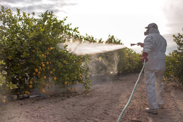 Best Best Pest Control Companies  in Schererville, IN