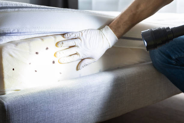 Best Pest Prevention Services  in Schererville, IN