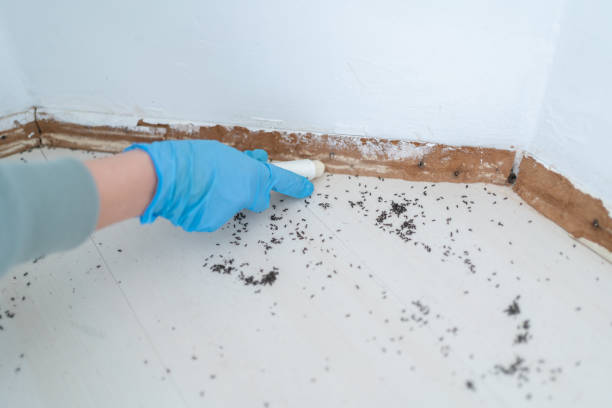 Professional Pest Control in Schererville, IN
