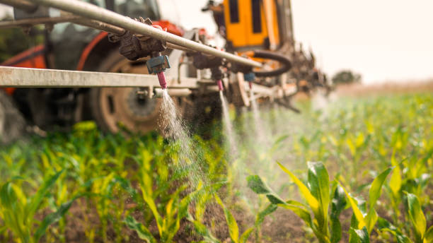 Insect Control in Schererville, IN